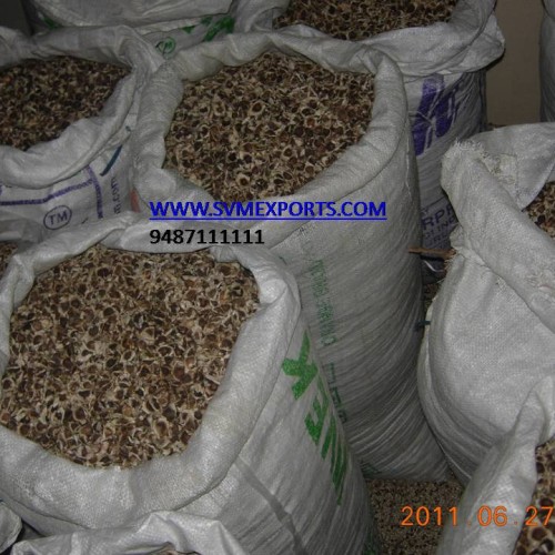 Moringa Seed Export From India